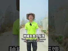 Vegetable organic pesticide SeNPV Green Vegetable Biological Insecticides Garden Insect Killer