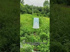 Kötülük tuzağı böcek tuzağı pancar ordu solucan mısır lahana solucan brokoli tuzağı