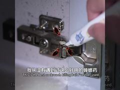 Biyolojik Böcek İlacı Yetişkin Hamam Böceği Larva Yumurta Öldürücü Yem Jeli Hamam Böceği İmhası