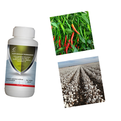 HaNPV Bt Bio Pesticide China Xinjiang Cotton Pests Killing Chilli Helicoverpa Assulta