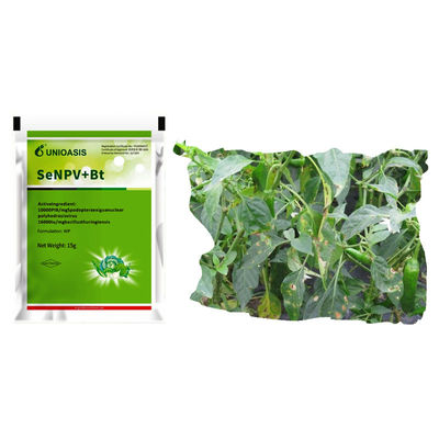 Natural Organic Pesticide Biological Insecticide Effective Against Fall Armyworm and Compatible With Other Pesticides
