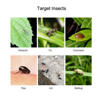 Widely Used Natural Insecticide 1.5% Pyrethrin Kill Mosquitoes Cockroaches Flies Office Hotel 