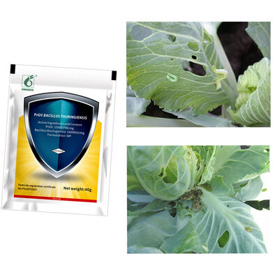 UNIOASIS PrGV + Bt Molluscicide Powder for Vegetable Pest and Cabbage Caterpillar Control with 10000 PIB/mg PrGV 16000IU/mg Bt