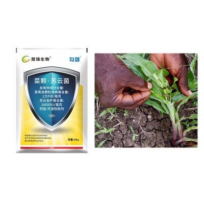 Bio pesticide company cabbage worm pest control organic