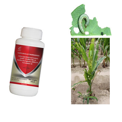 Effective Maize Crop Pesticide with 2 Years Shelf Life Natural Organic and Compatible with Other Pesticides