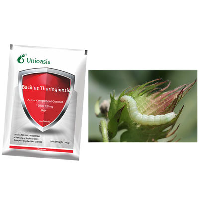 Agricultural pesticide pure biological powder control tea caterpillar second generation bollworm BT 